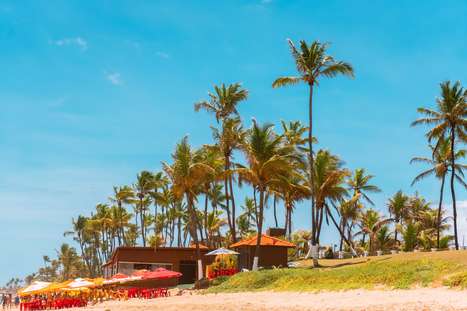 DMC vs travel agent for Goa