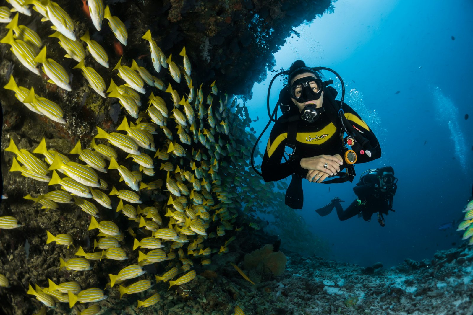 Goa scuba diving for beginners | GoaThrills Grande Island complete guide
