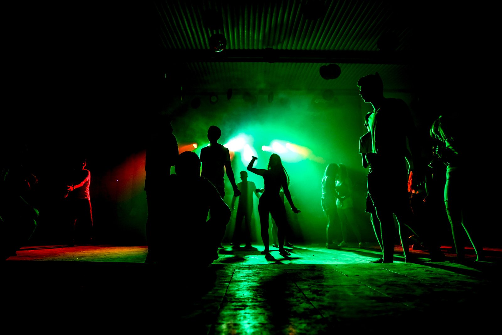 Goa nightlife guide