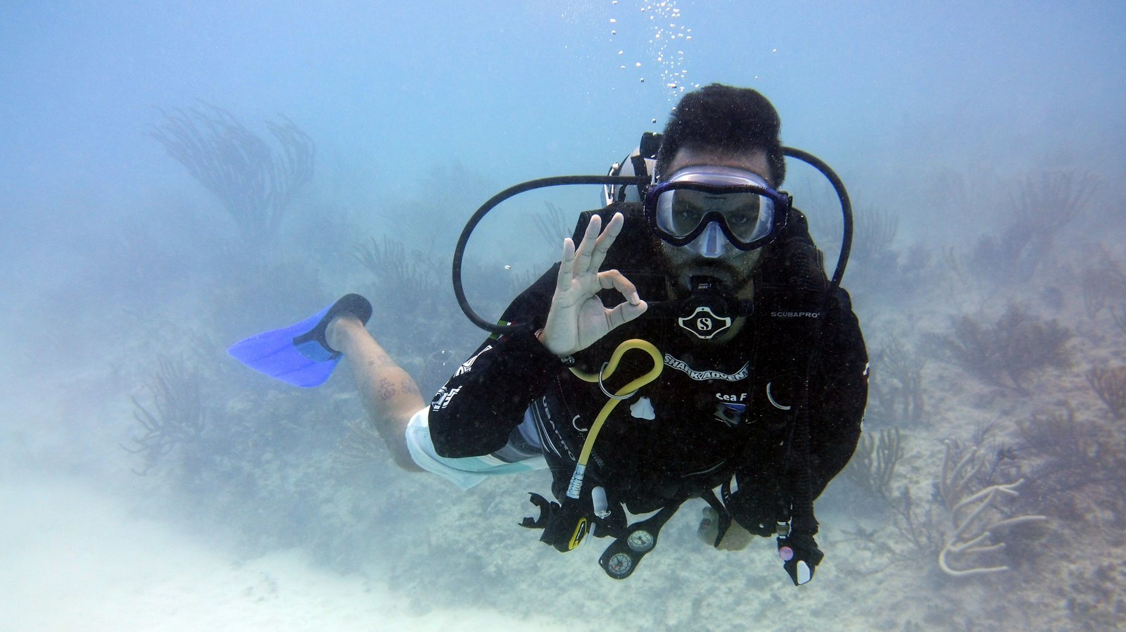 Scuba diving in Goa | complete guide to Grand Island diving by the best DMC for Goa